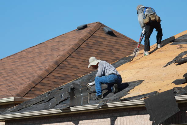 Best Slate Roofing  in Colwyn, PA
