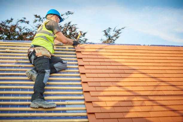 Best Green or Eco-Friendly Roofing Solutions  in Colwyn, PA